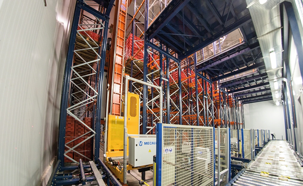 L'Entrepôt automatique et réfrigéré pour les produits frais provenant des champs