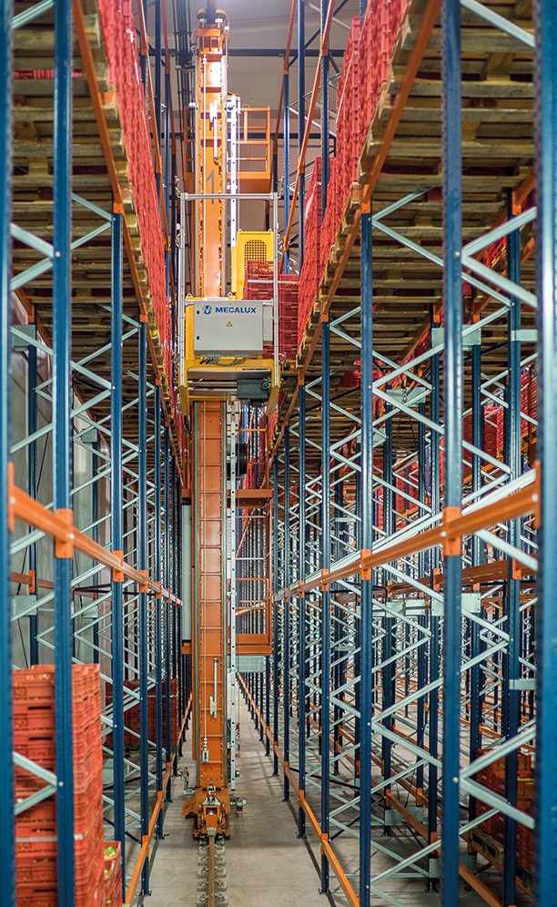 La capacité des cinq transtockeurs est de plus de 175 déplacements combinés par heure et de 325 simples