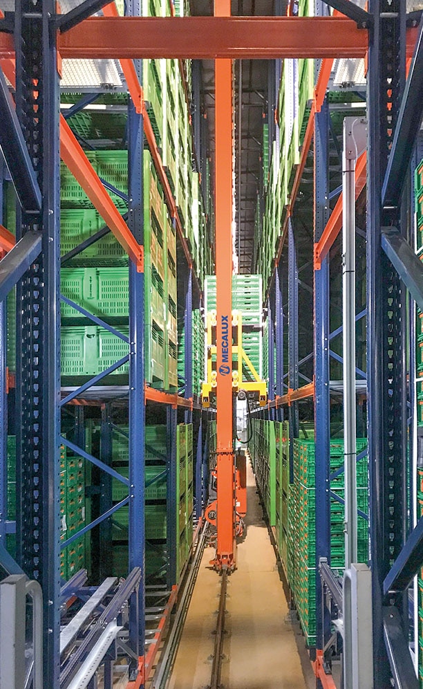 Le nouvel entrepôt automatique de Kiwi Greensun à Salvador de Briteiros