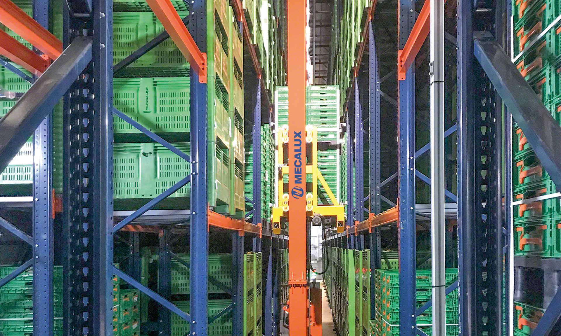 Kiwi Greensun : le point de maturation parfait pour un entrepôt réfrigéré Kiwi Greensun : le point de maturation parfait pour un entrepôt réfrigéré